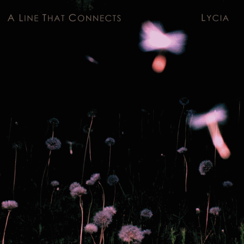 Lycia : A Line That Connects
